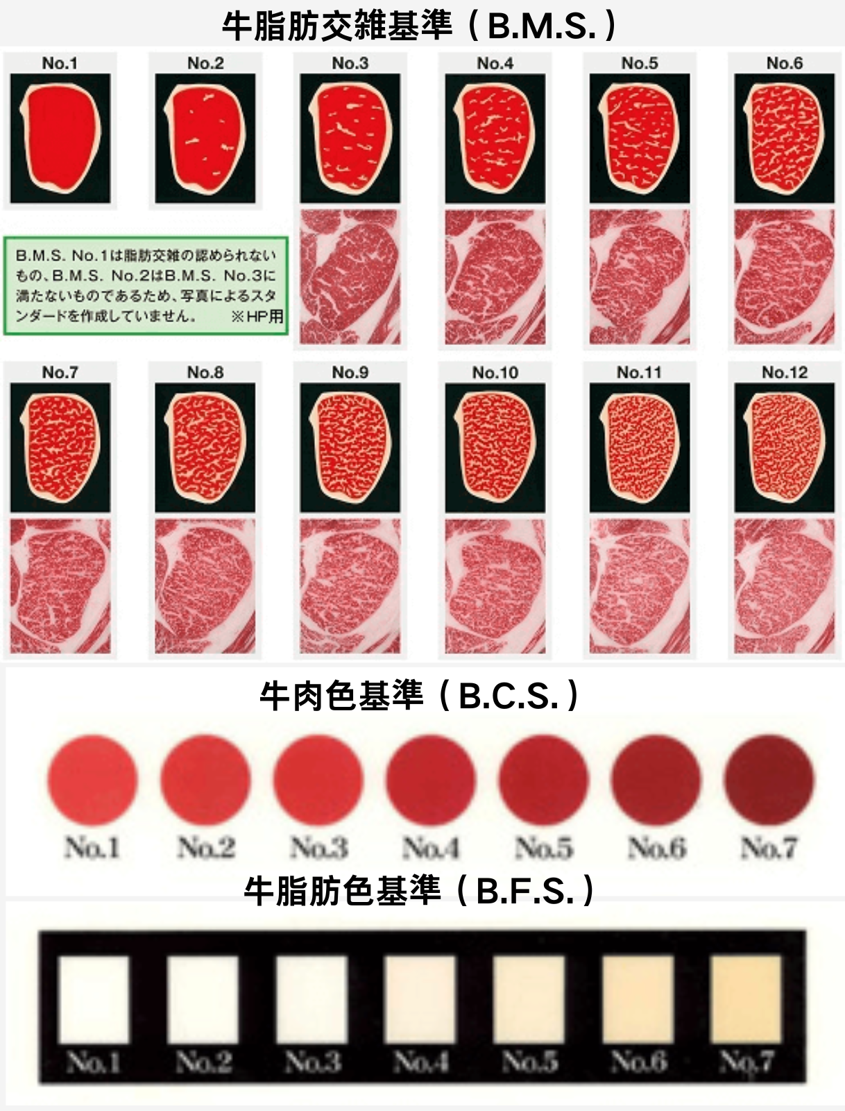 肉質等級の説明